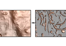Уральские ученые разработали новый метод анализа эластомеров